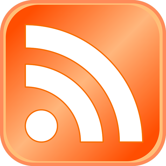 Rss Logo 11022023