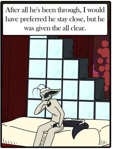 OrderoftheBlackDog